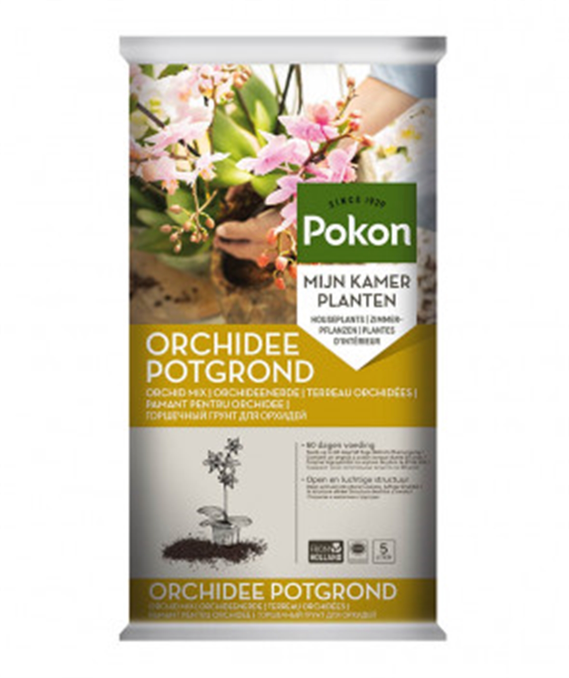 Pokon Orchidee