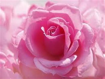 Boeket voor een dame