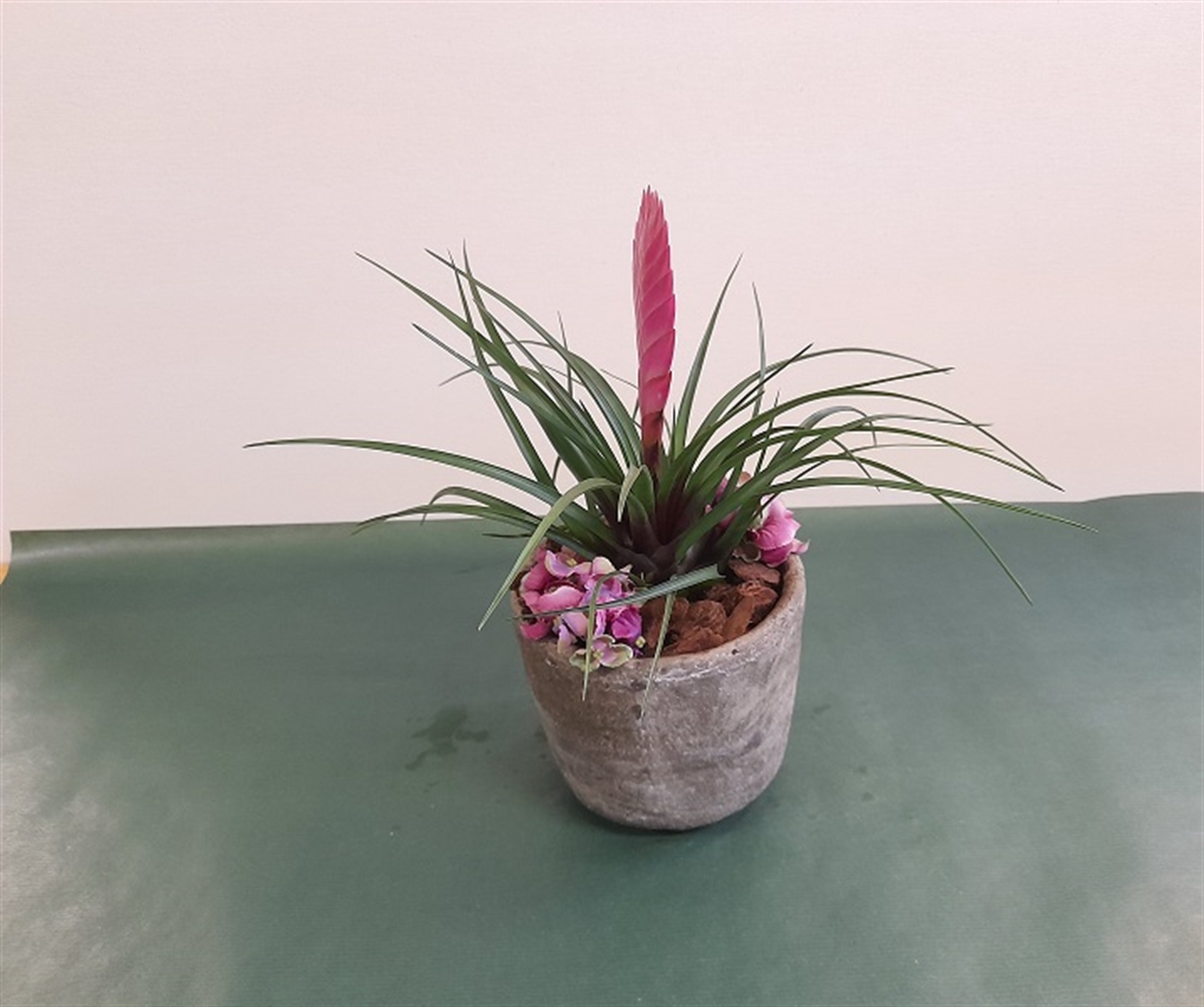 Arrangement "eenvoud"