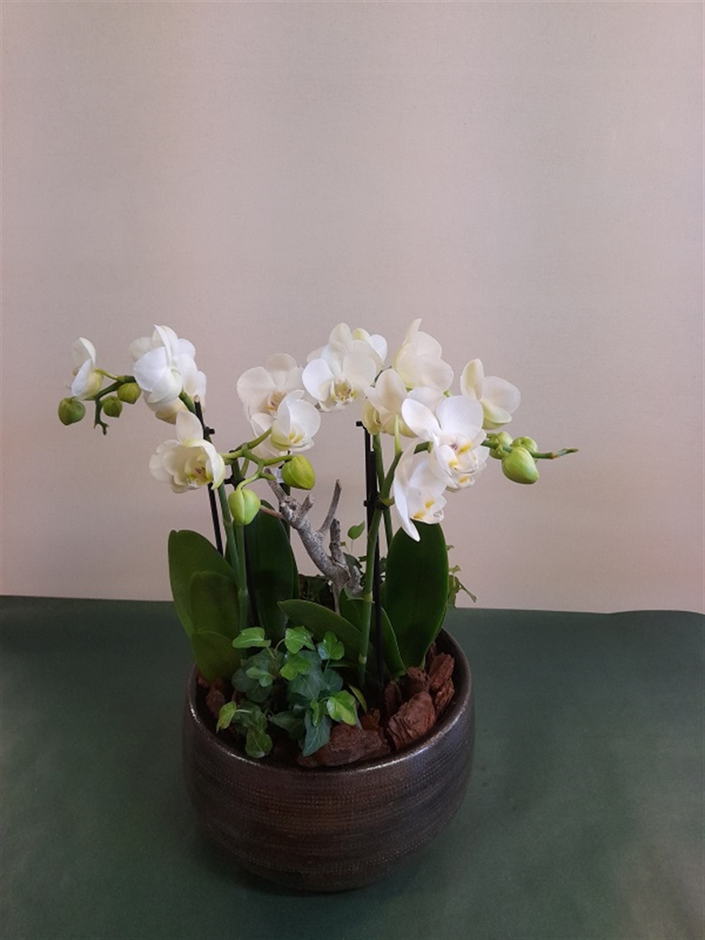 Arrangement "Orchidee"