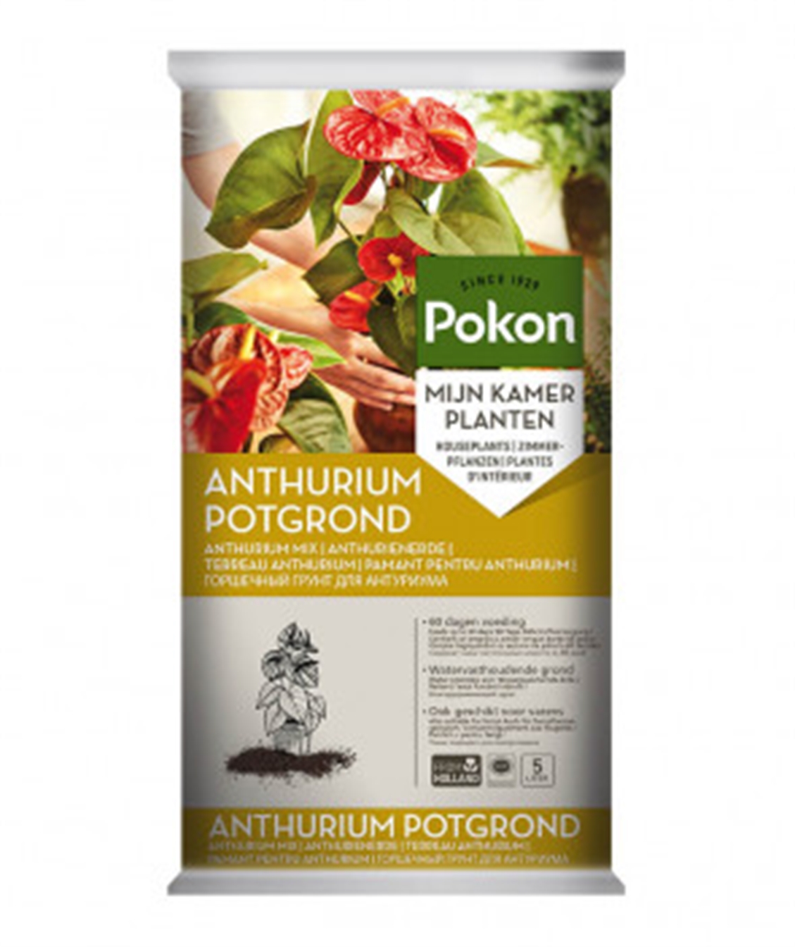 Pokon Anthuriumgrond