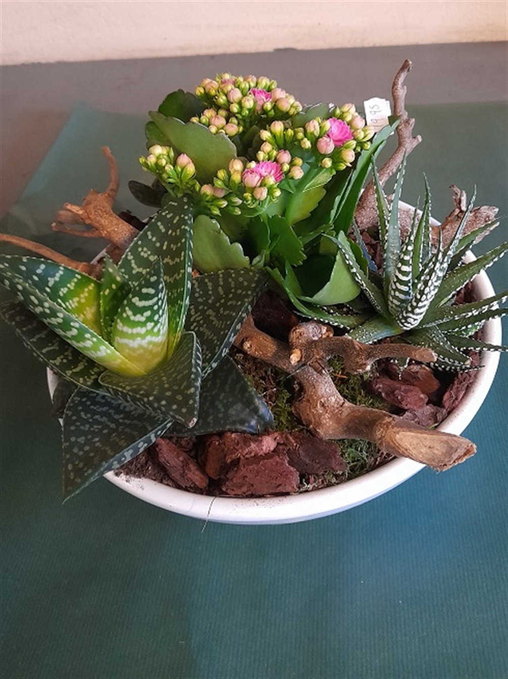 Arrangement planten "salontafel"