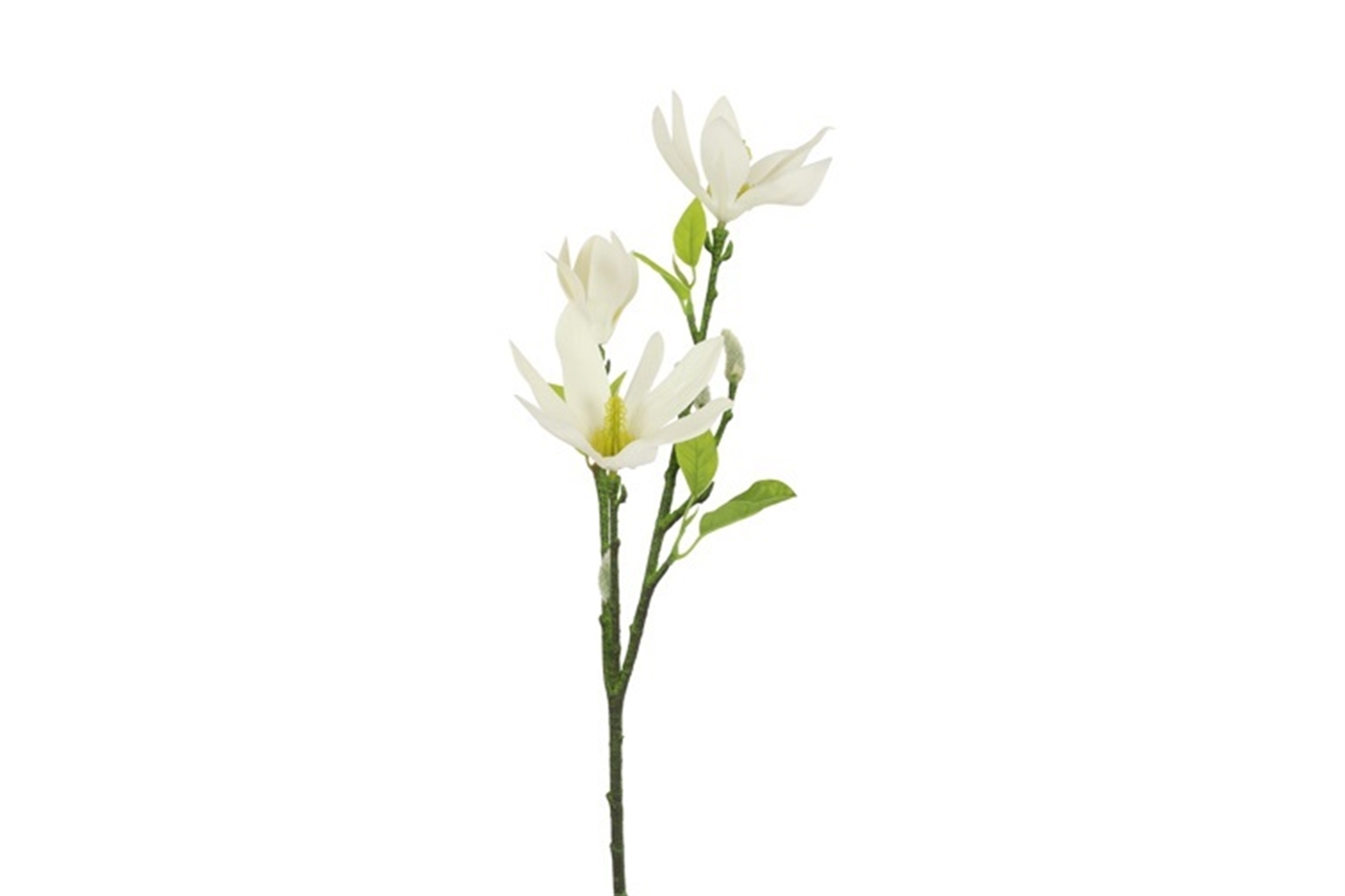 TAKJE MAGNOLIA